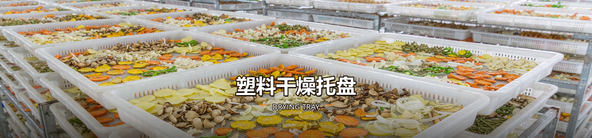 塑料干燥托盘